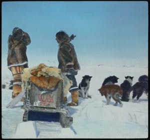 Image of Eskimo [Inuit] Dog Team, Loaded Sledge
